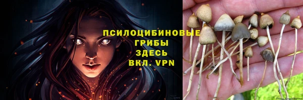 прущие крисы Верея