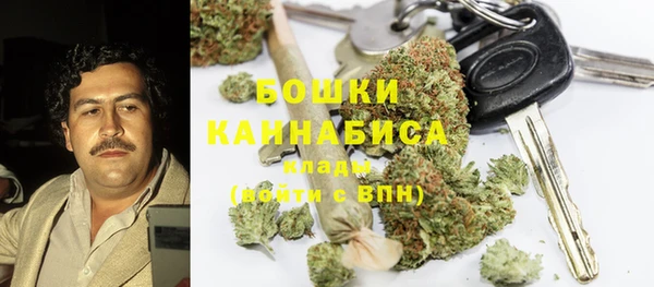 ешки Гатчина