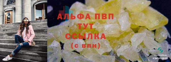 эйфоретик Бородино