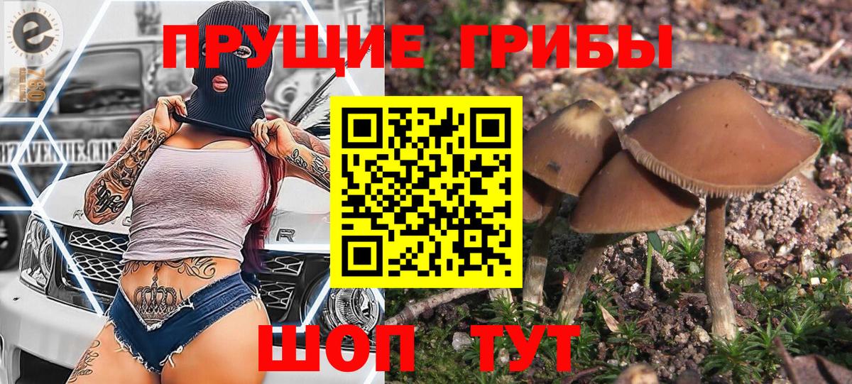 Псилоцибиновые грибы мицелий Вязьма